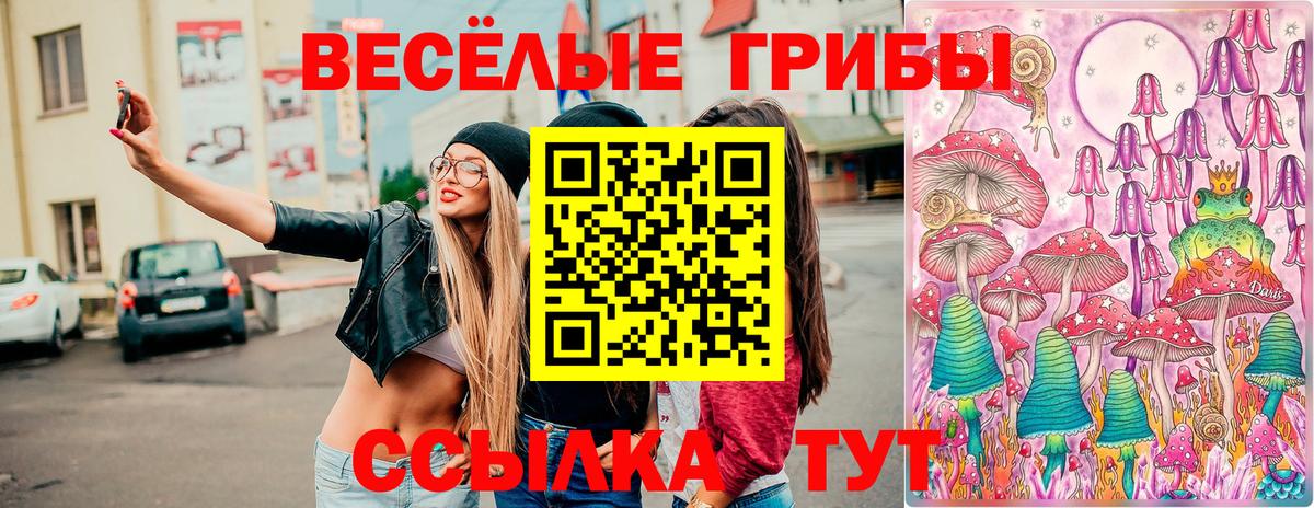 Псилоцибиновые грибы MAGIC MUSHROOMS  Галлюциногенные грибы мухоморы  Хасавюрт  Вход с VPN 